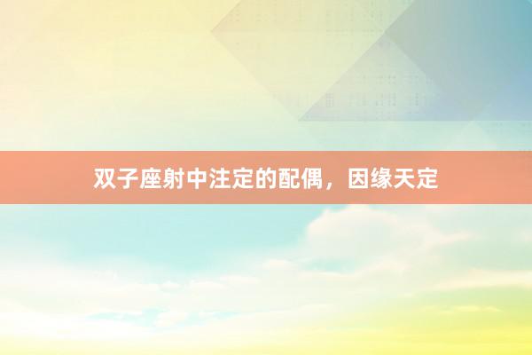 双子座射中注定的配偶，因缘天定