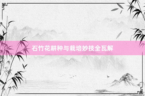 石竹花耕种与栽培妙技全瓦解