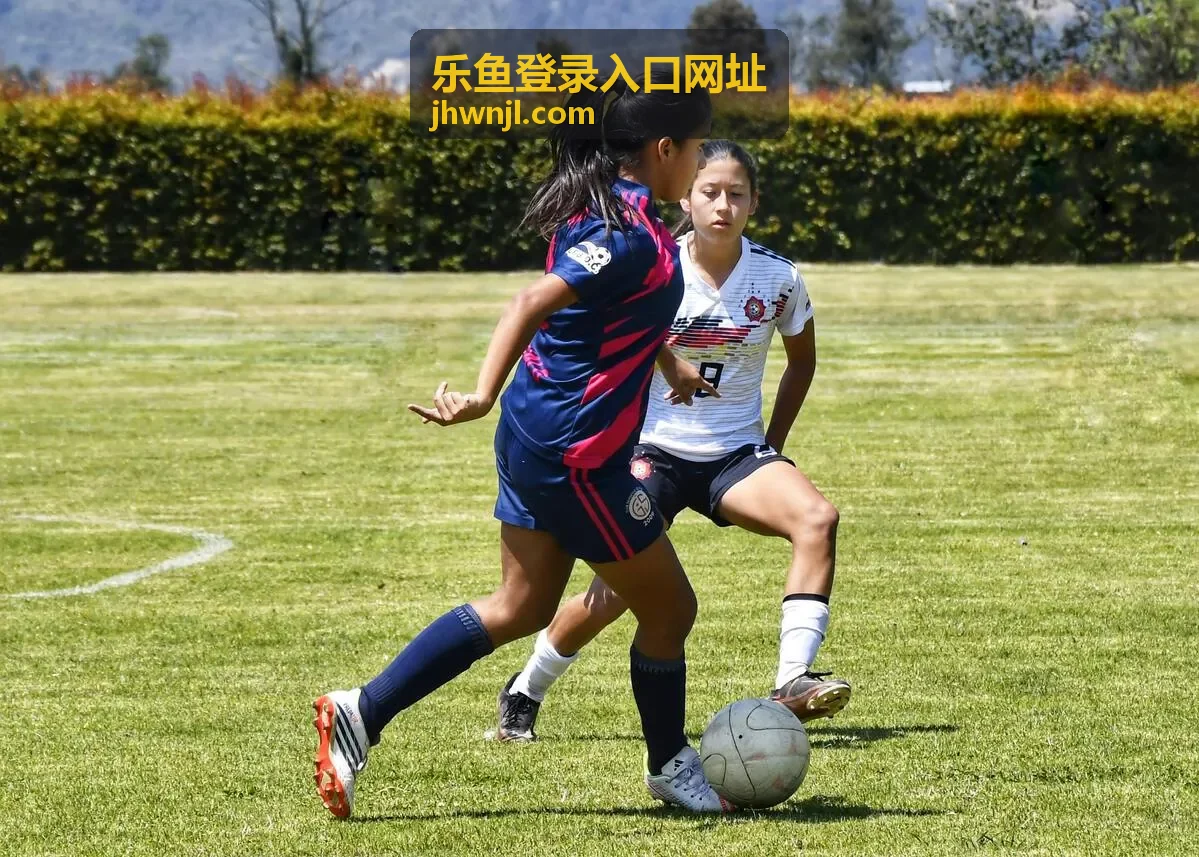 乐鱼登录入口网址 - 精彩游戏体验