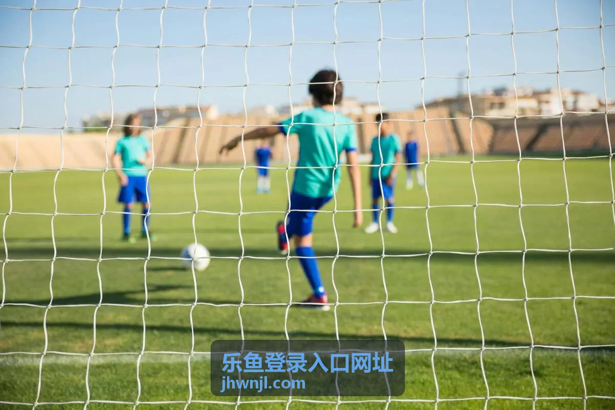 乐鱼登录入口网址 - 便捷支付系统