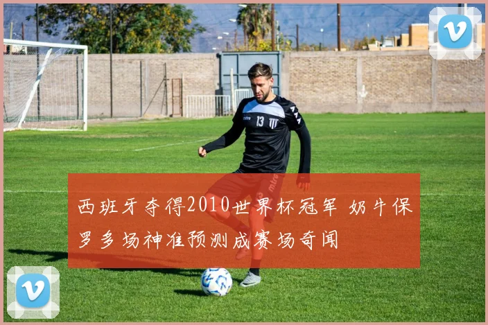 西班牙夺得2010世界杯冠军 奶牛保罗多场神准预测成赛场奇闻