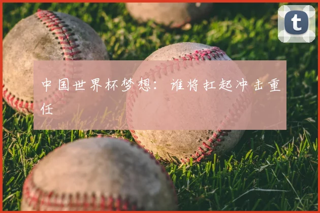 中国世界杯梦想：谁将扛起冲击重任