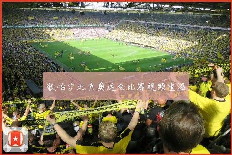 张怡宁北京奥运会比赛视频重温