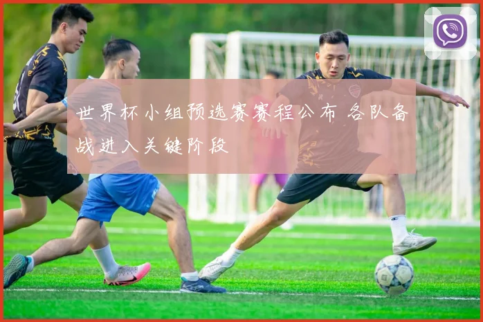 世界杯小组预选赛赛程公布 各队备战进入关键阶段