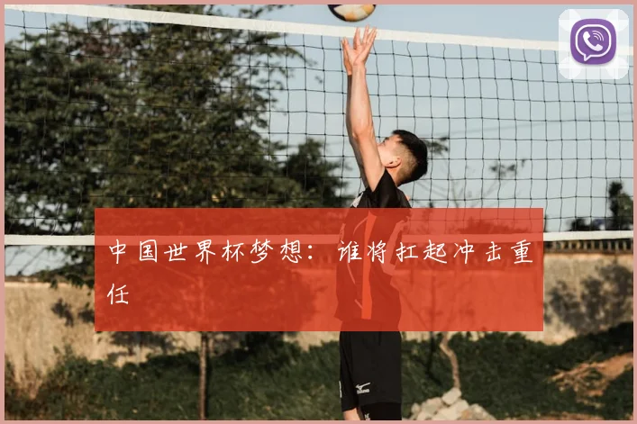 中国世界杯梦想：谁将扛起冲击重任