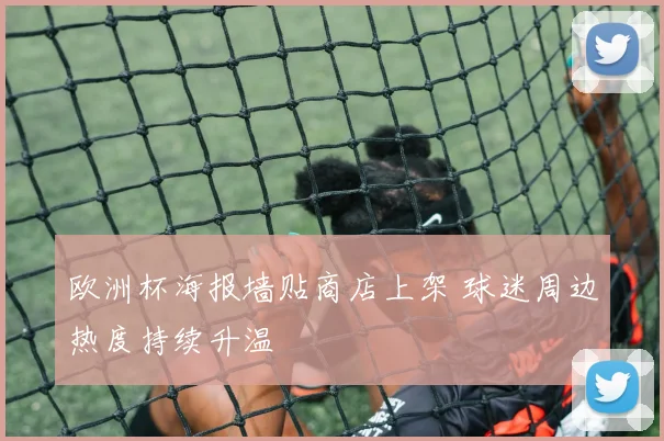 欧洲杯海报墙贴商店上架 球迷周边热度持续升温